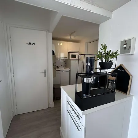 Hotel Maison Saint-jean-de-monts, 3 Pieces, 5 Personnes - Fr-1-224c-313